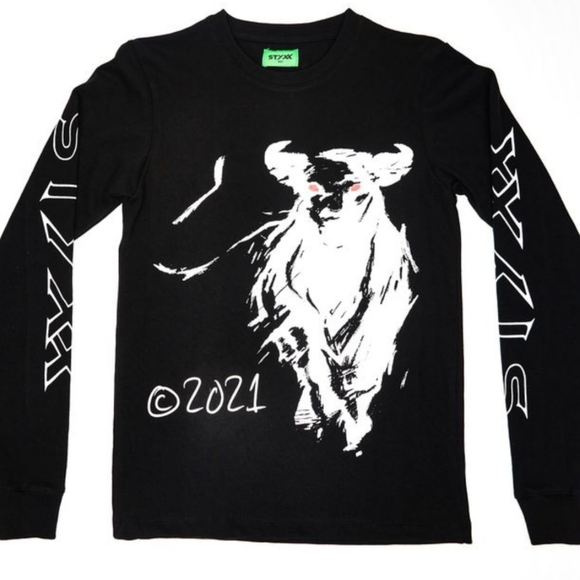 Styxx Other - 🔥SALE🔥 Styxx "We Never Listen" long sleeve shirt